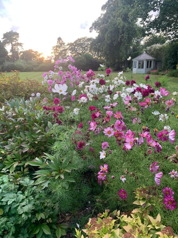 Dalton House Bed And Breakfast 뉴캐슬어폰타인 외부 사진